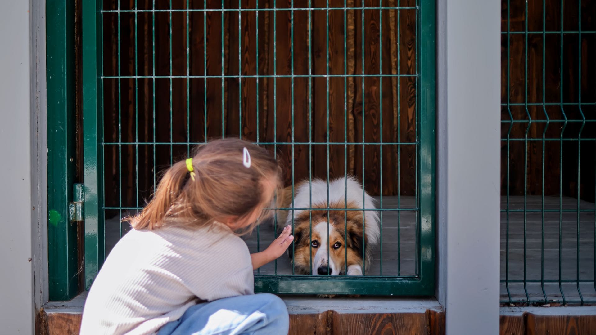 Antes de incorporar un perro a un hogar con niños, es fundamental elegir una raza equilibrada y adaptar la convivencia a las necesidades de ambos