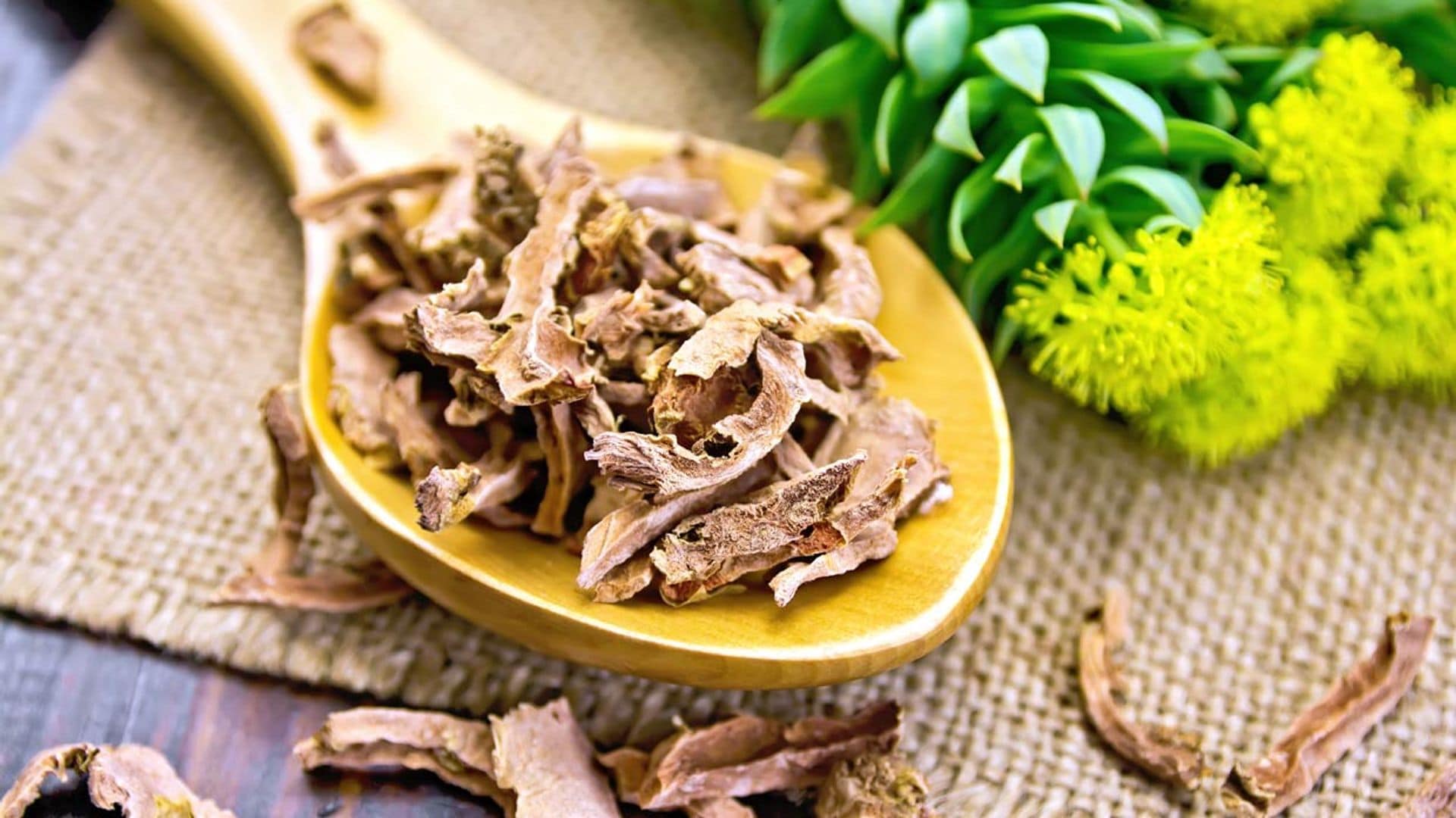 Rhodiola, una buena aliada para mejorar tu rendimiento físico y mental en situaciones de fatiga