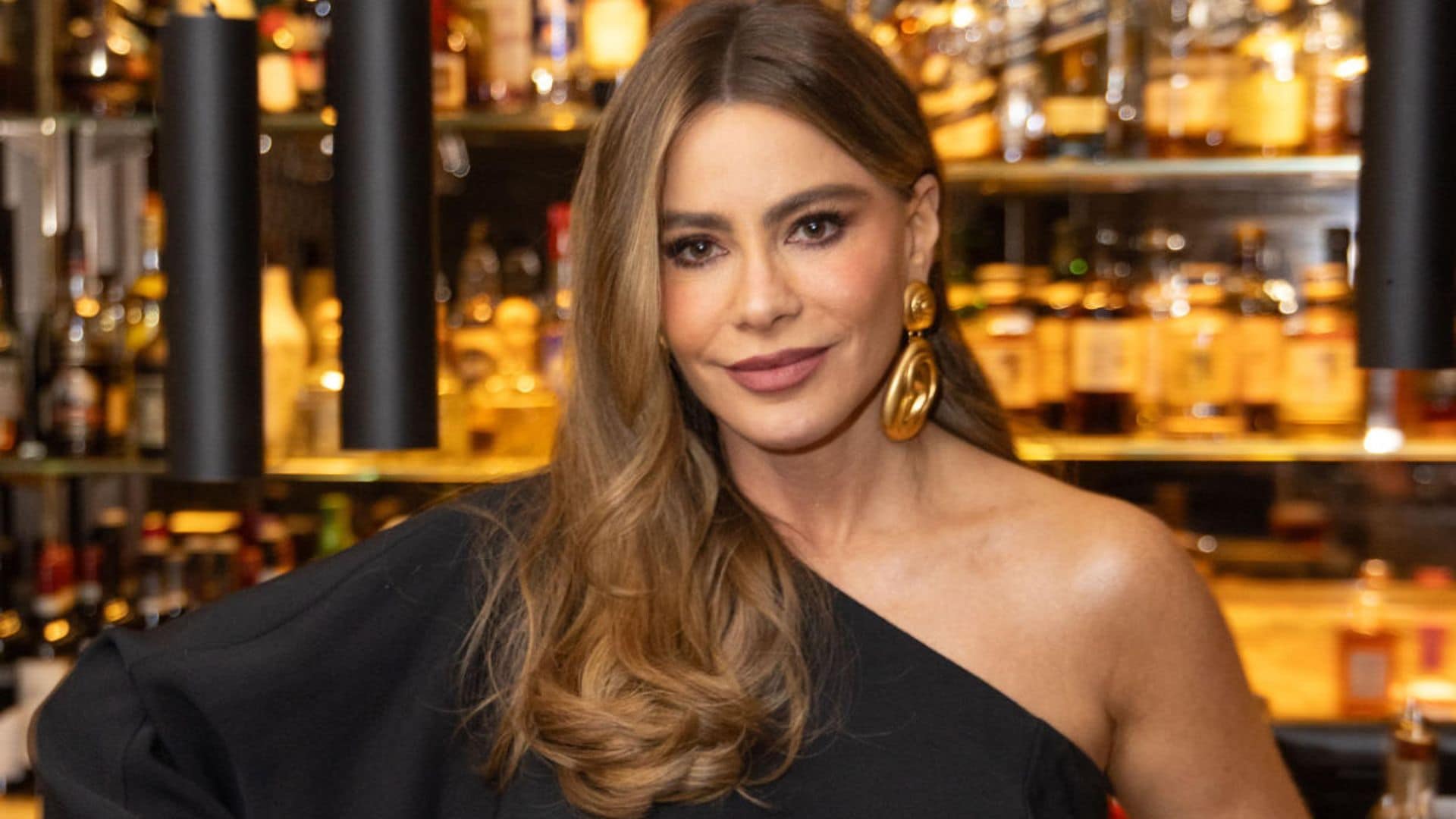 La nueva norma en el amor de Sofía Vergara tras su separación de Joe Manganiello