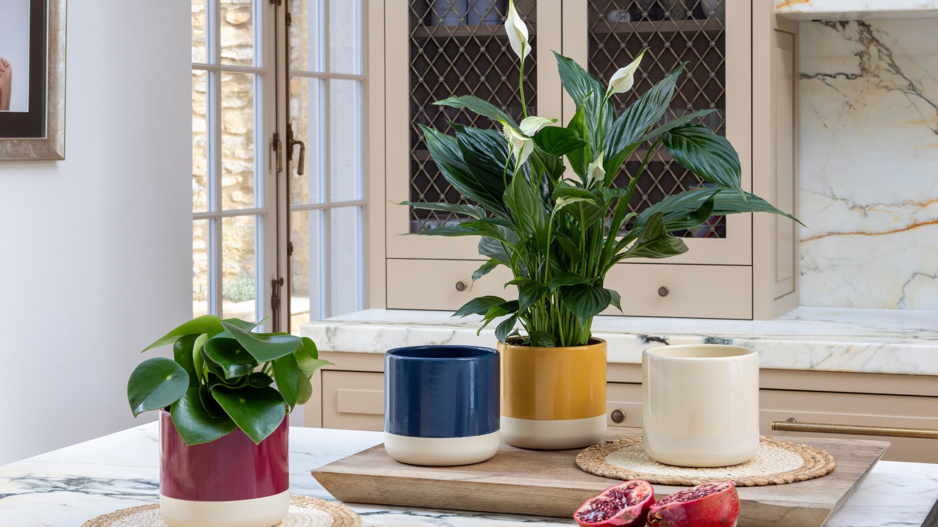 Cocina con plantas, macetas vacías, macetas de colores, armario con puerta de gallinero 