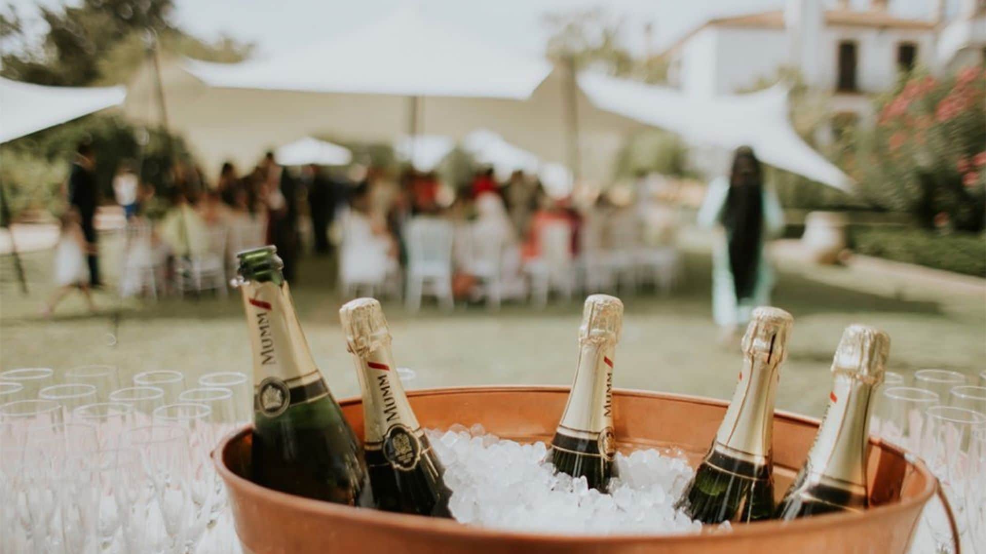 ¿Cómo gestionar las bebidas de tu boda? Los caterings nos dan las claves para acertar