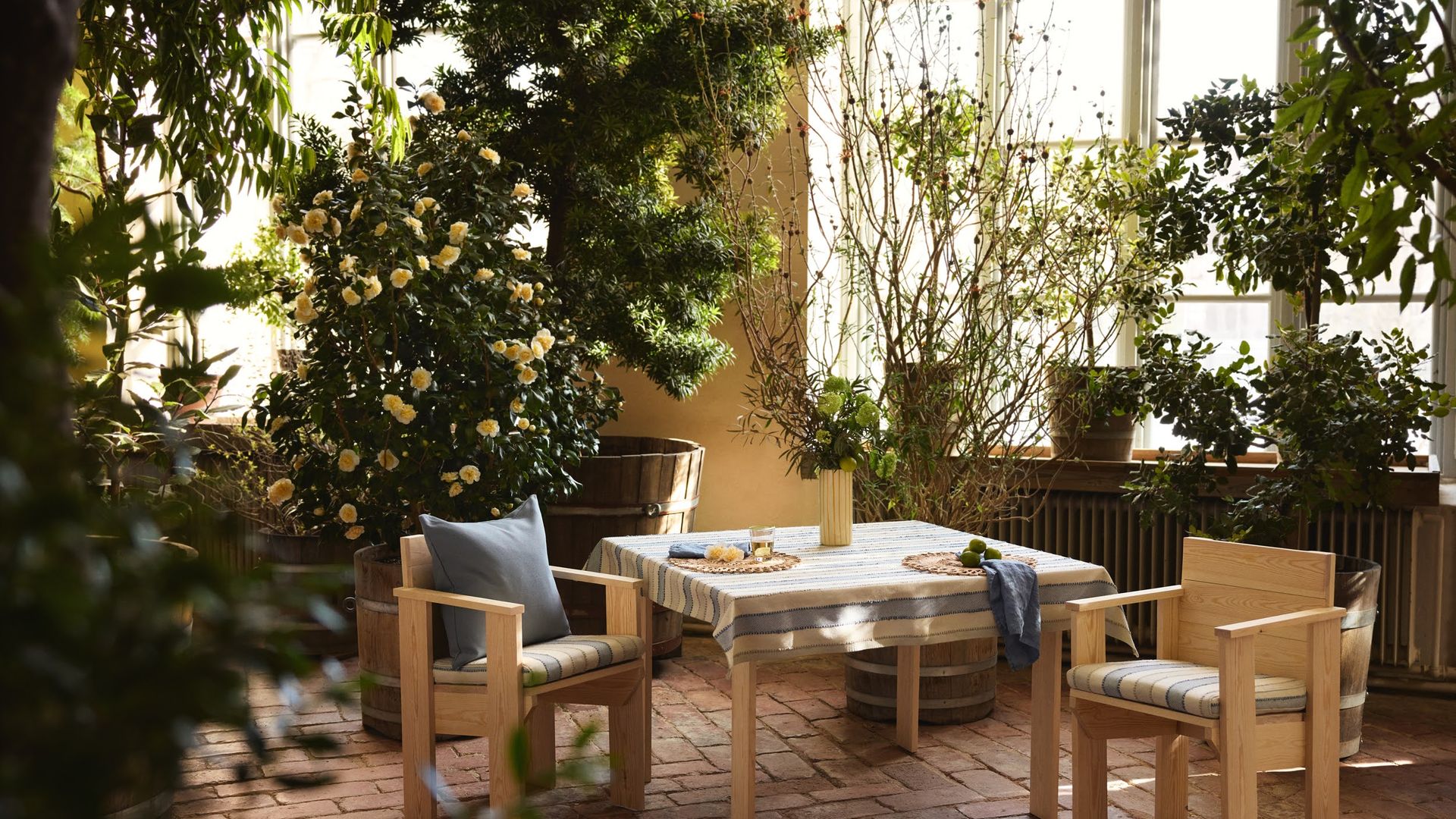 Comedor con suelo de barro y muchas plantas altas en maceta 