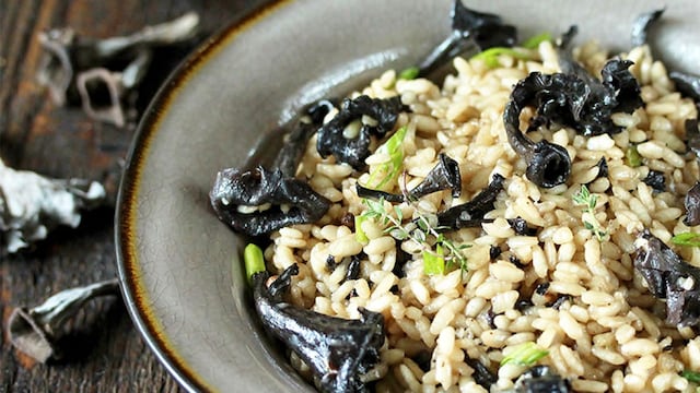 risotto adobe