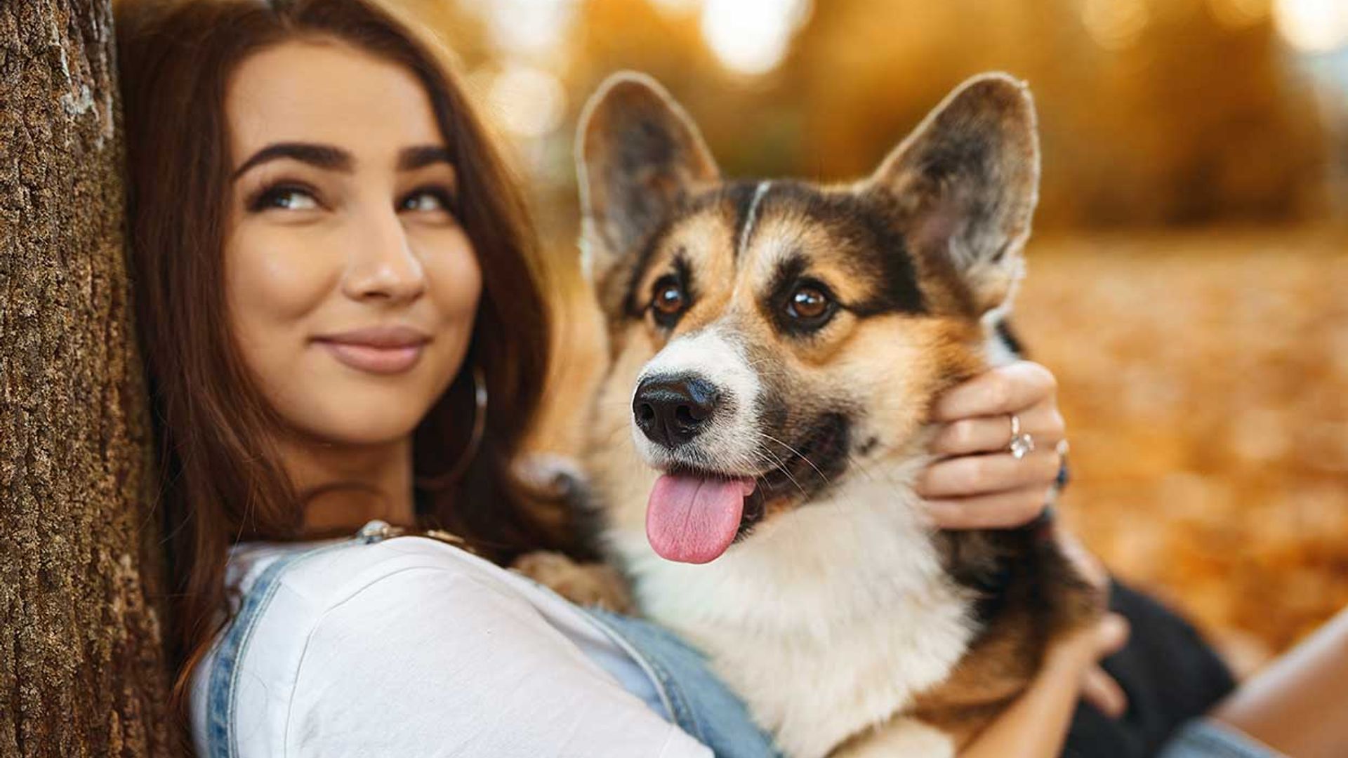 ¿Dónde puedes inspirarte para poner nombre a tu mascota?
