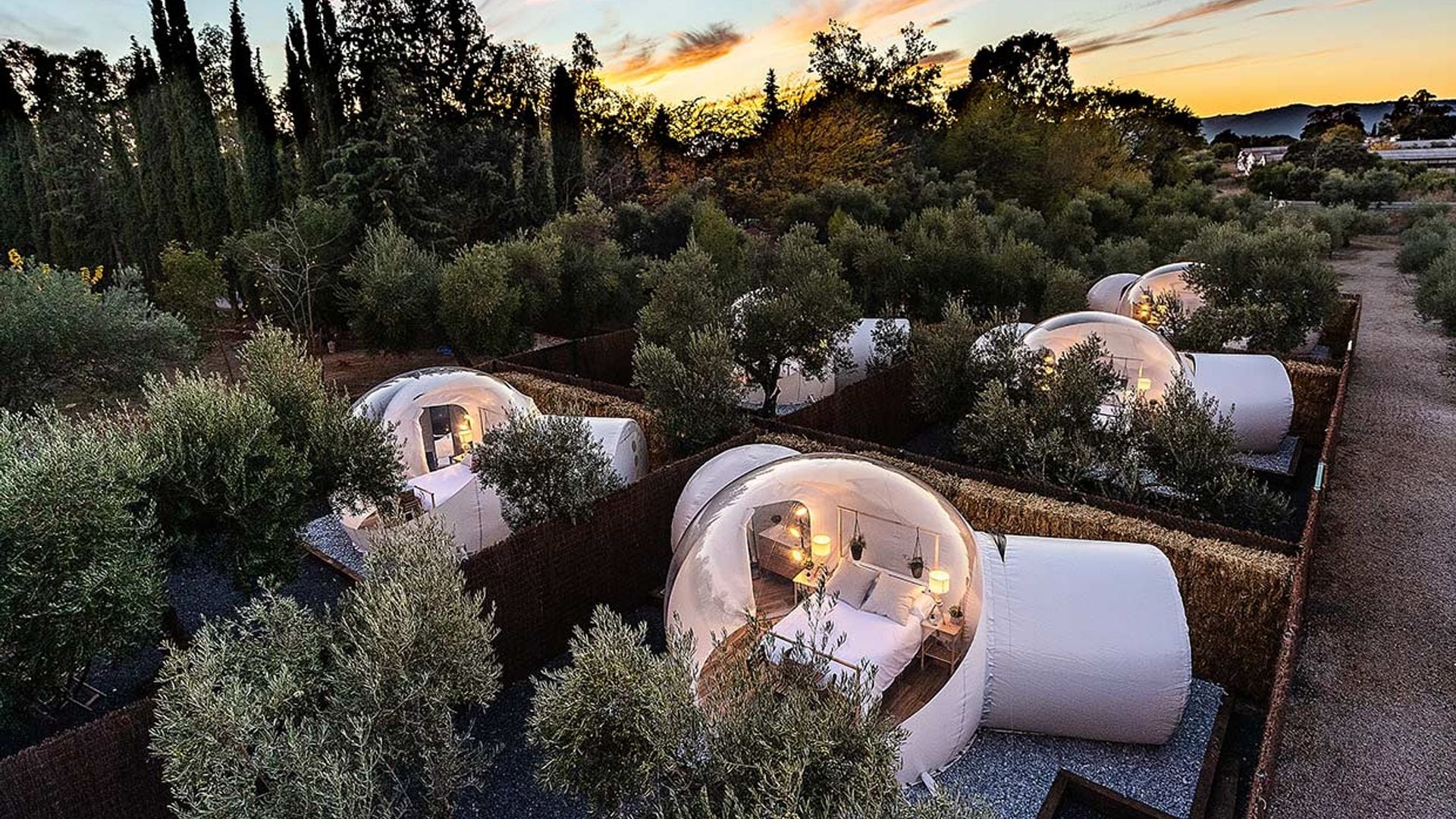 Hoteles burbuja para las noches de verano