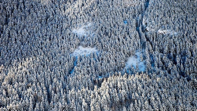 valle aran
