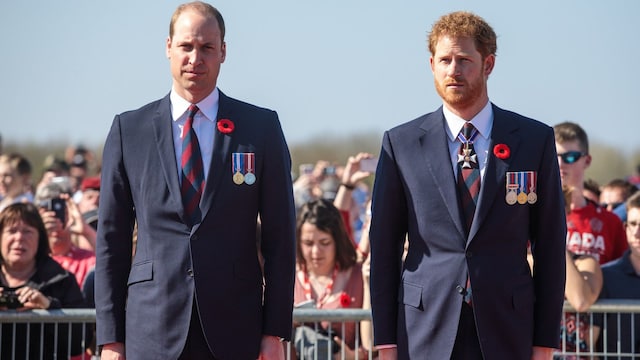 harry y william