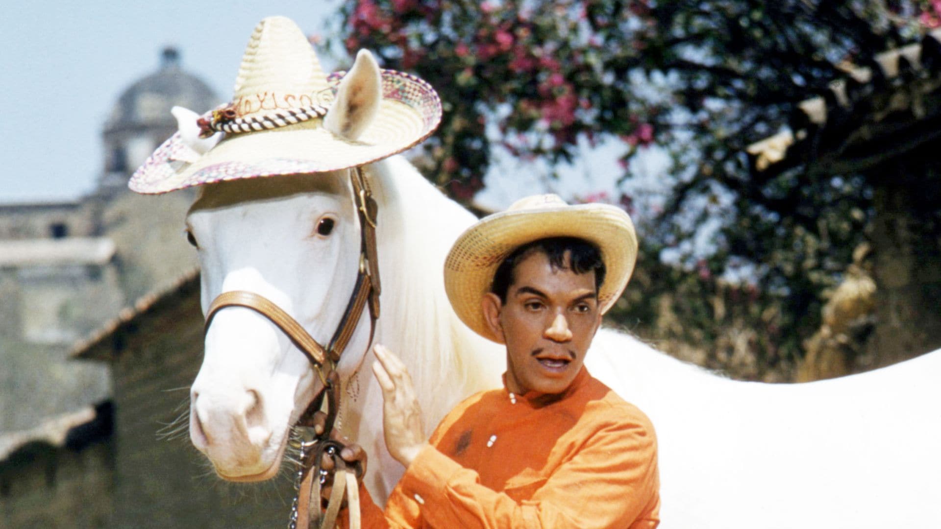 Mario Moreno ‘Cantinflas’: crónica desesperanzada de una herencia ‘envenenada’