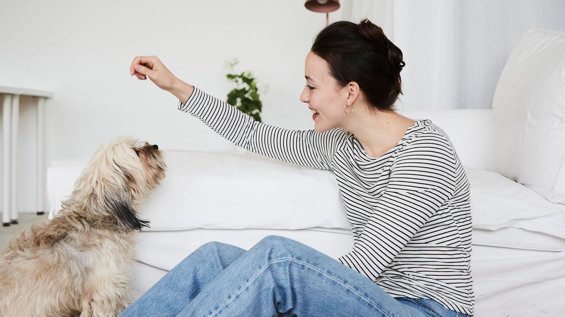 Los beneficios de tener una mascota en tu vida
