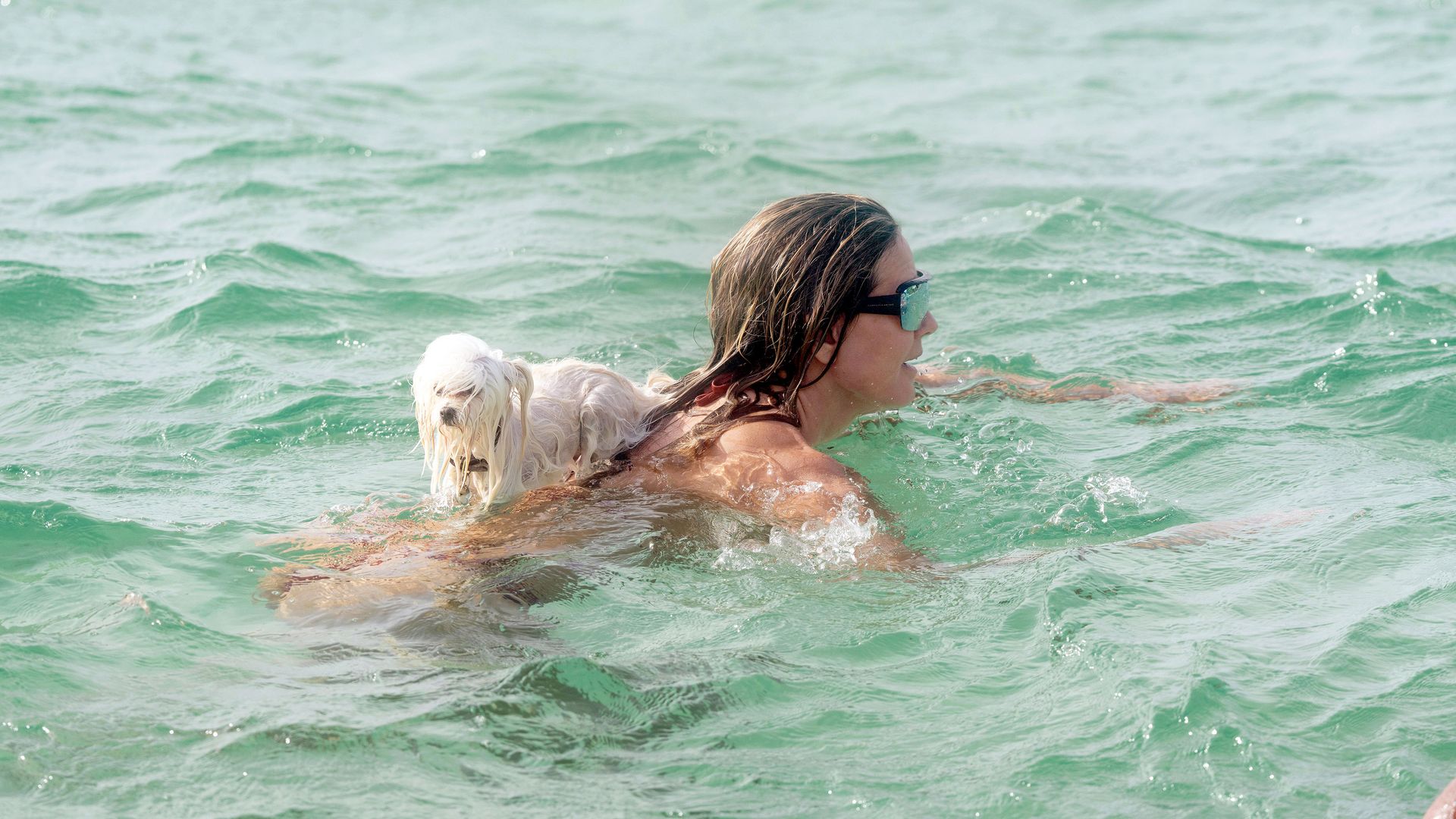 Heidi Klum junto a Fritz, su mascota, en el mar