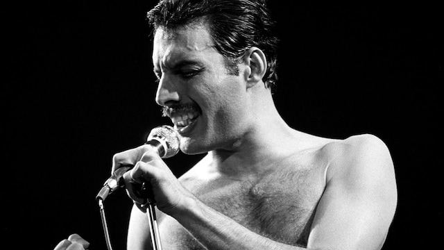 freddie