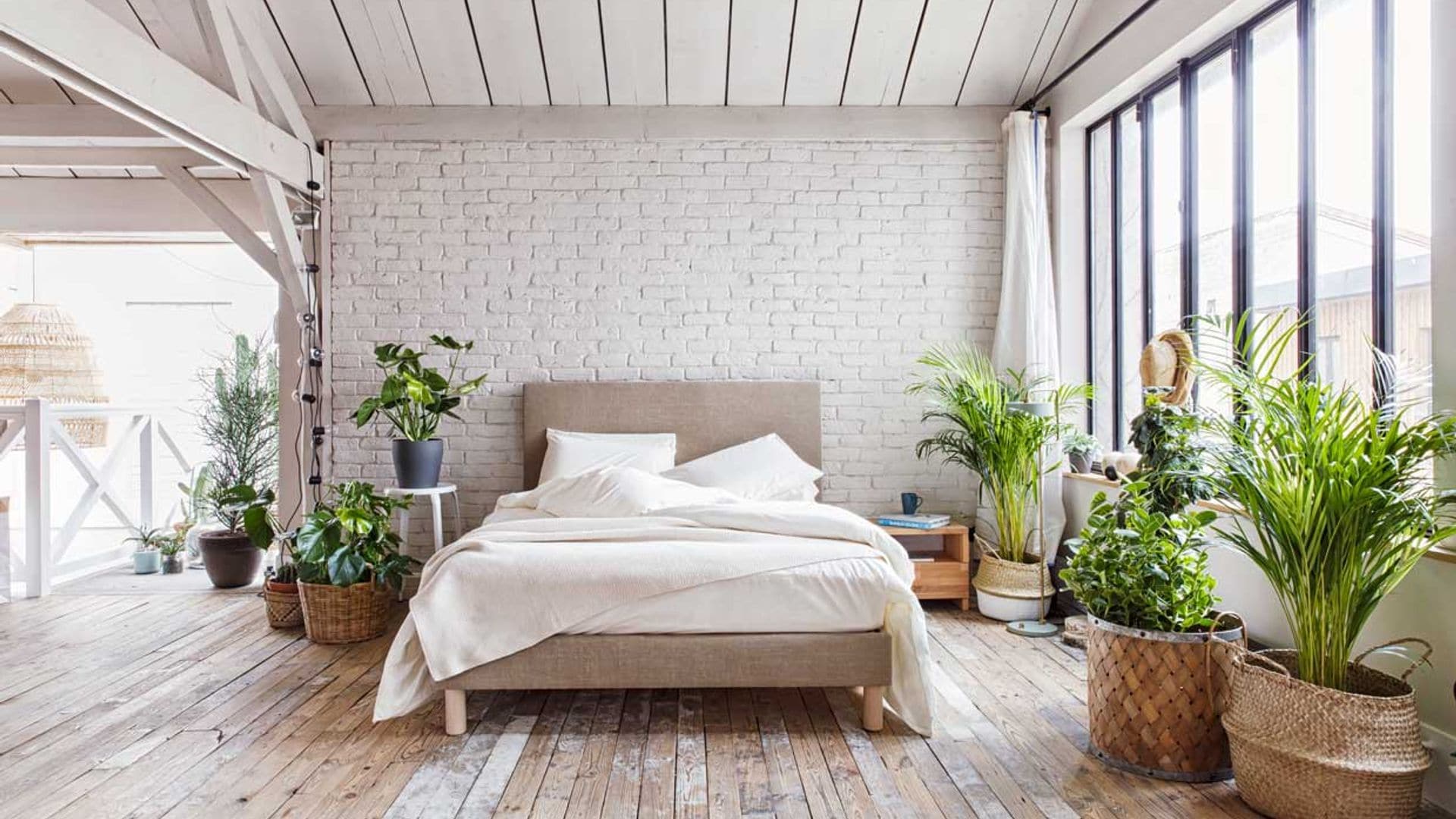 Cómo hacer tu casa más 'verde' por fuera… ¡Y por dentro!