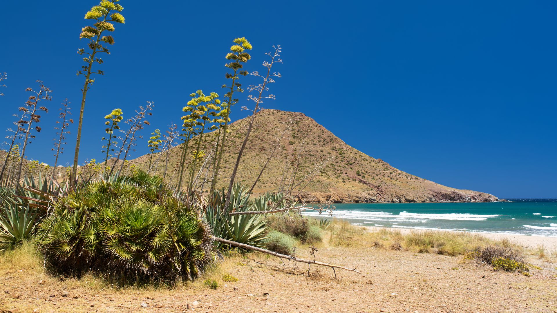 Playa de los Genoveses en Almería