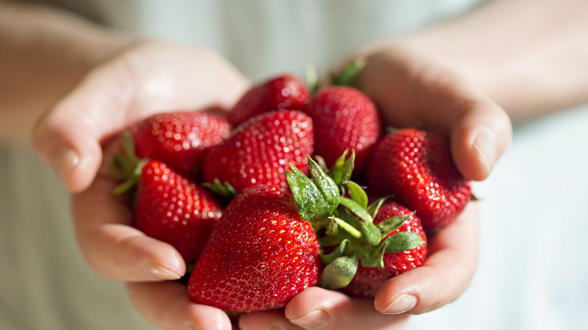 Cómo conservar las fresas correctamente y alargar su frescura