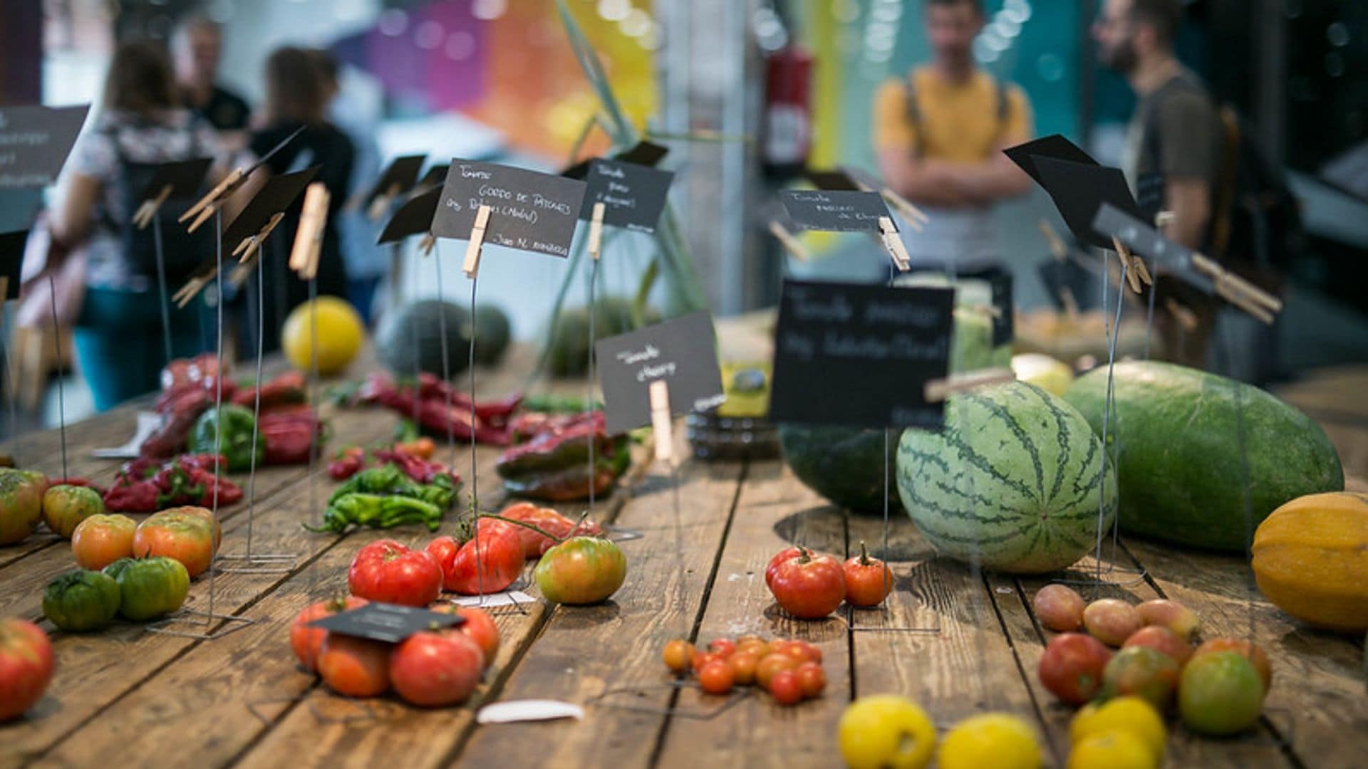 Frutas y verduras, ecosecha sobre mesa de madera