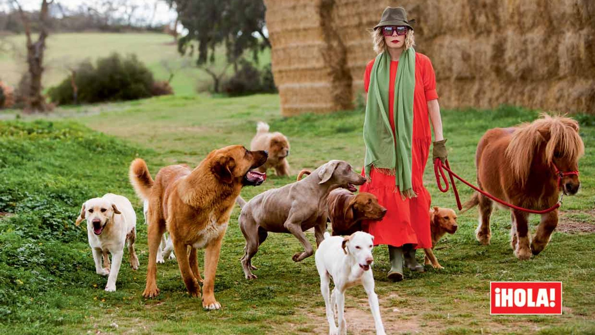 Ágatha Ruiz de la Prada posa en ¡HOLA! con sus catorce mascotas