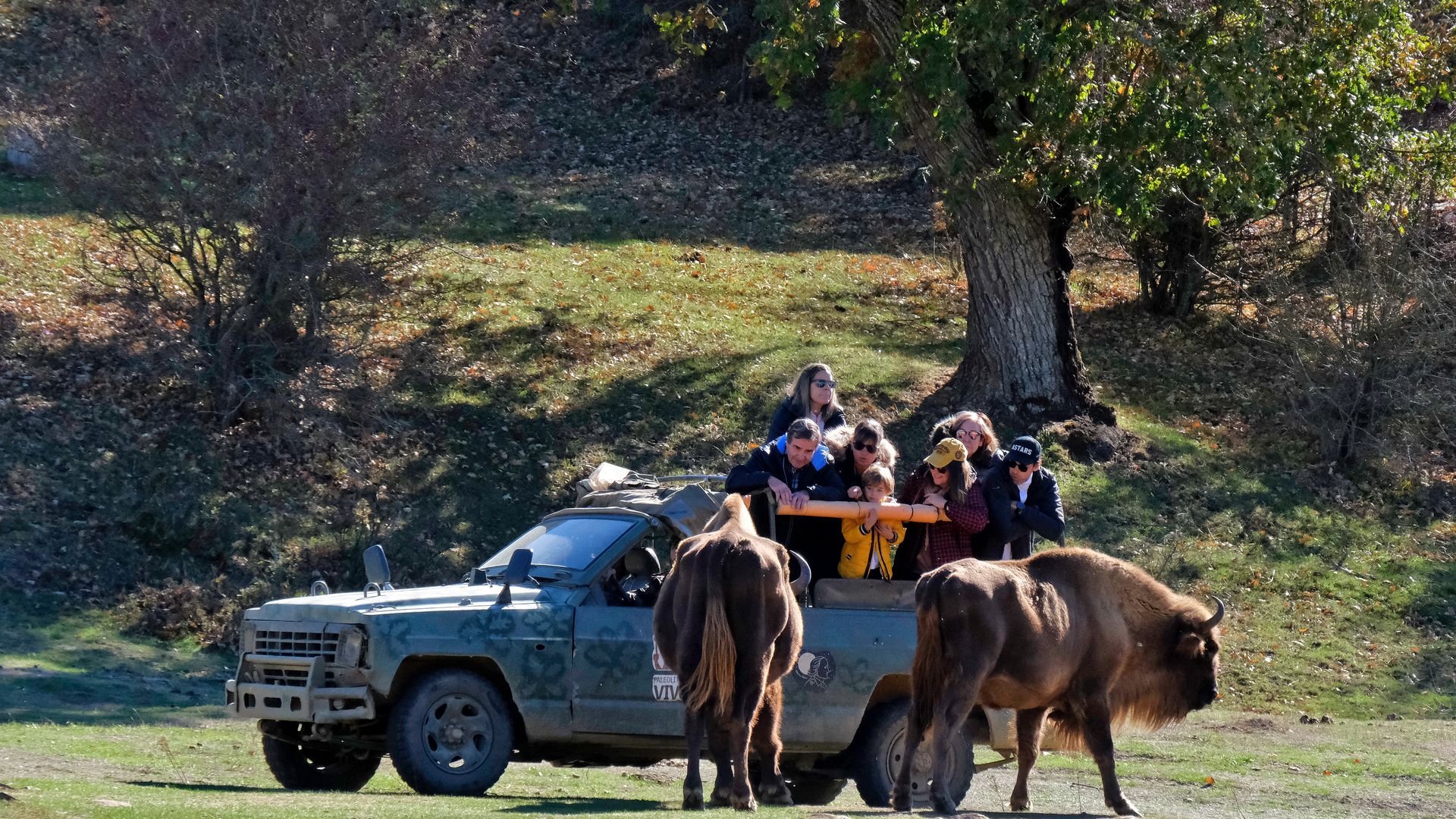 El ‘parque jurásico’ de Burgos donde los animales prehistóricos aún existen y es el plan perfecto para el otoño