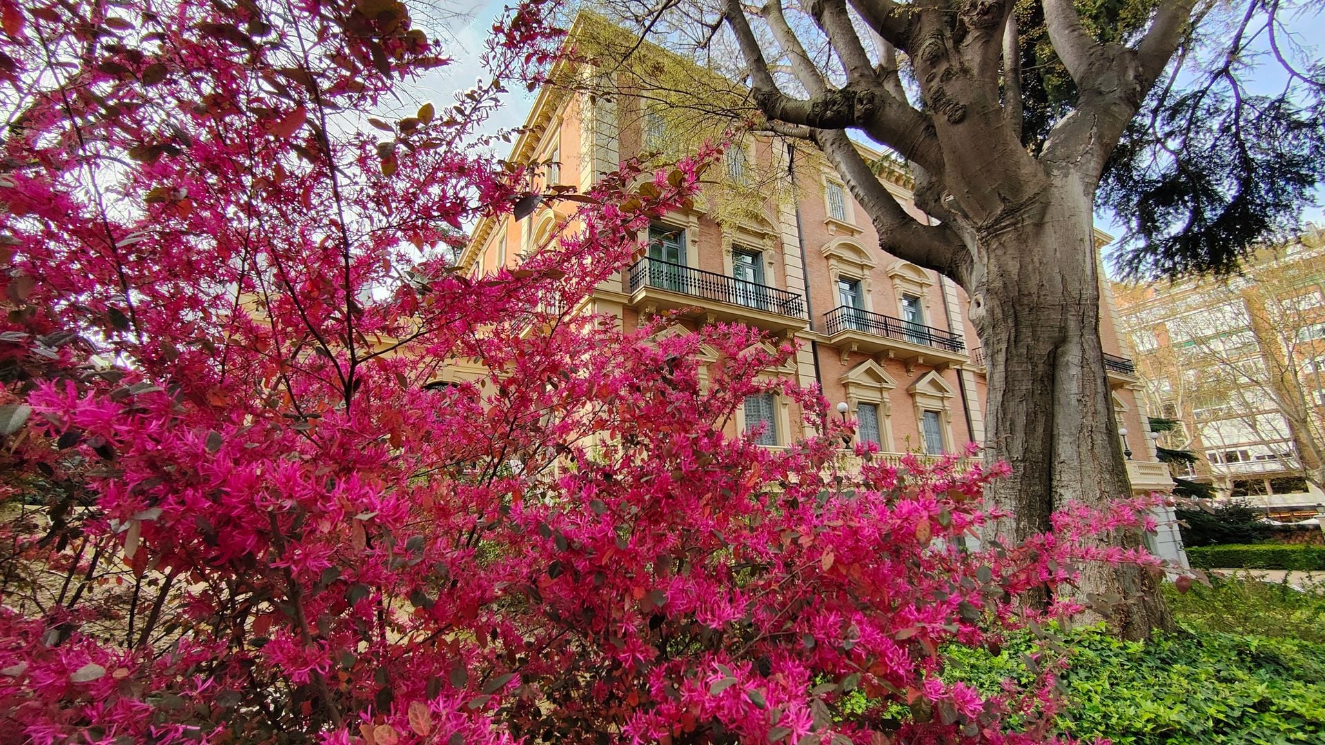 Jardín aflorado del Museo Lázaro Galdiano de Madrid