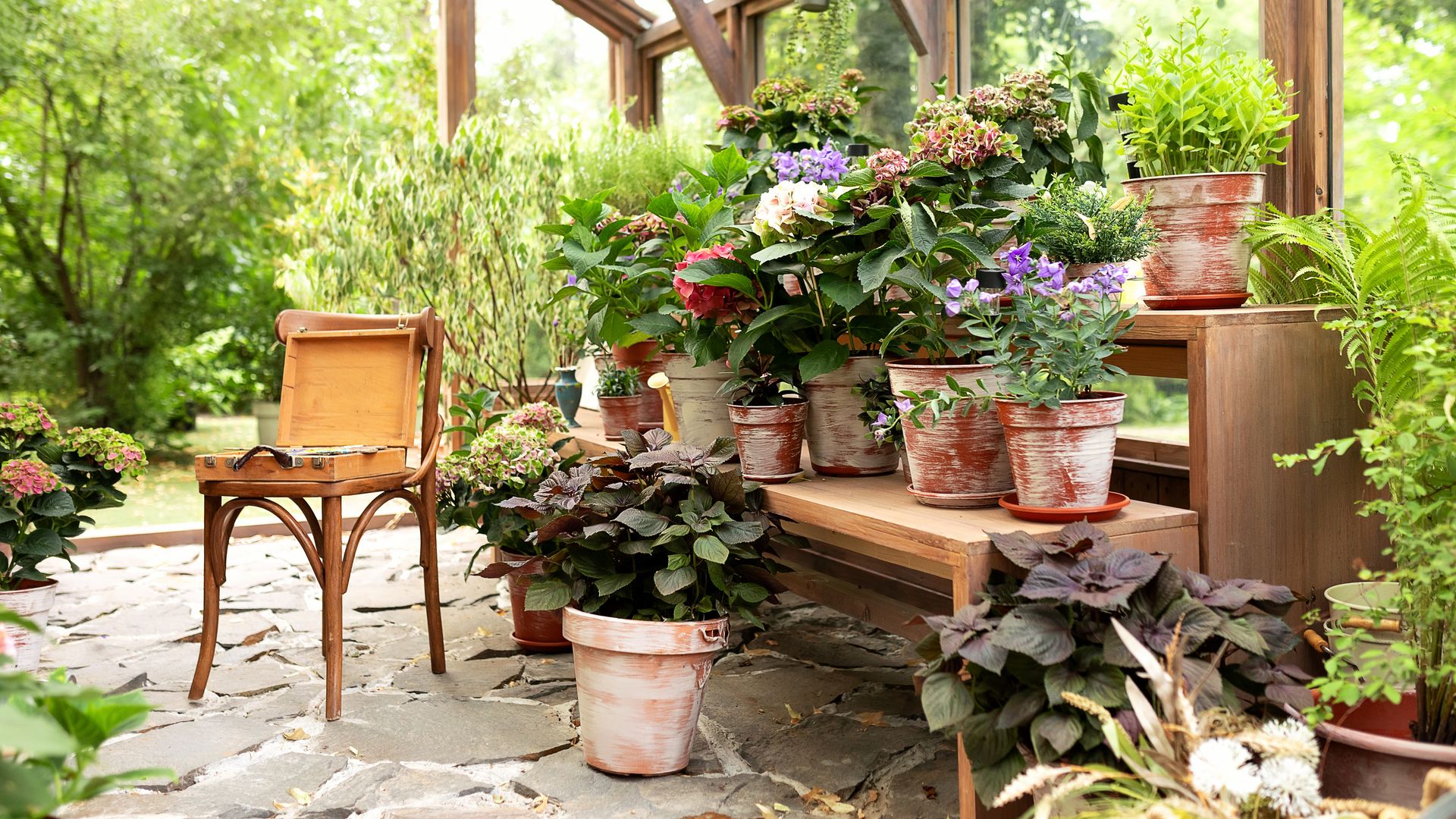 Plantas de interior en exterior.