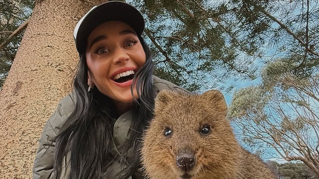 Katy Perry posó muy contenta con un quokka
