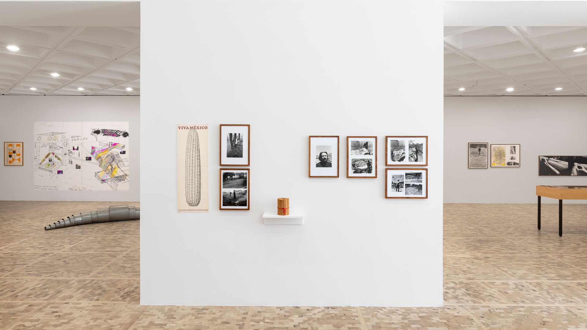 Museo Tamayo verano 2026