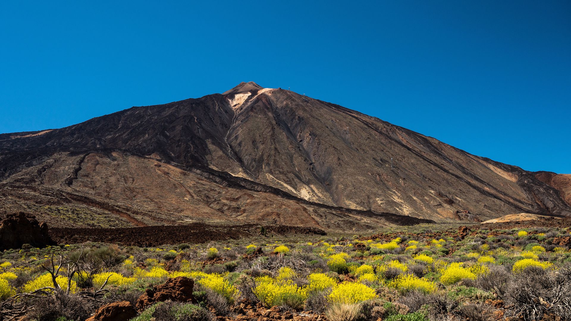 El Teide registra 900 temblores en siete días: qué dicen los expertos sobre el riesgo de erupción