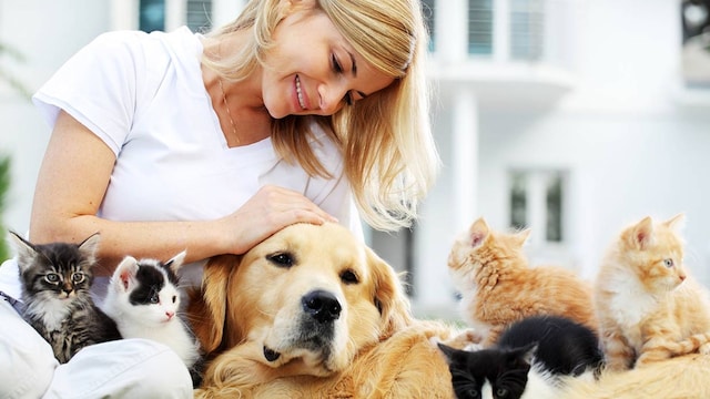 acumular animales sindrome noe perros gatos