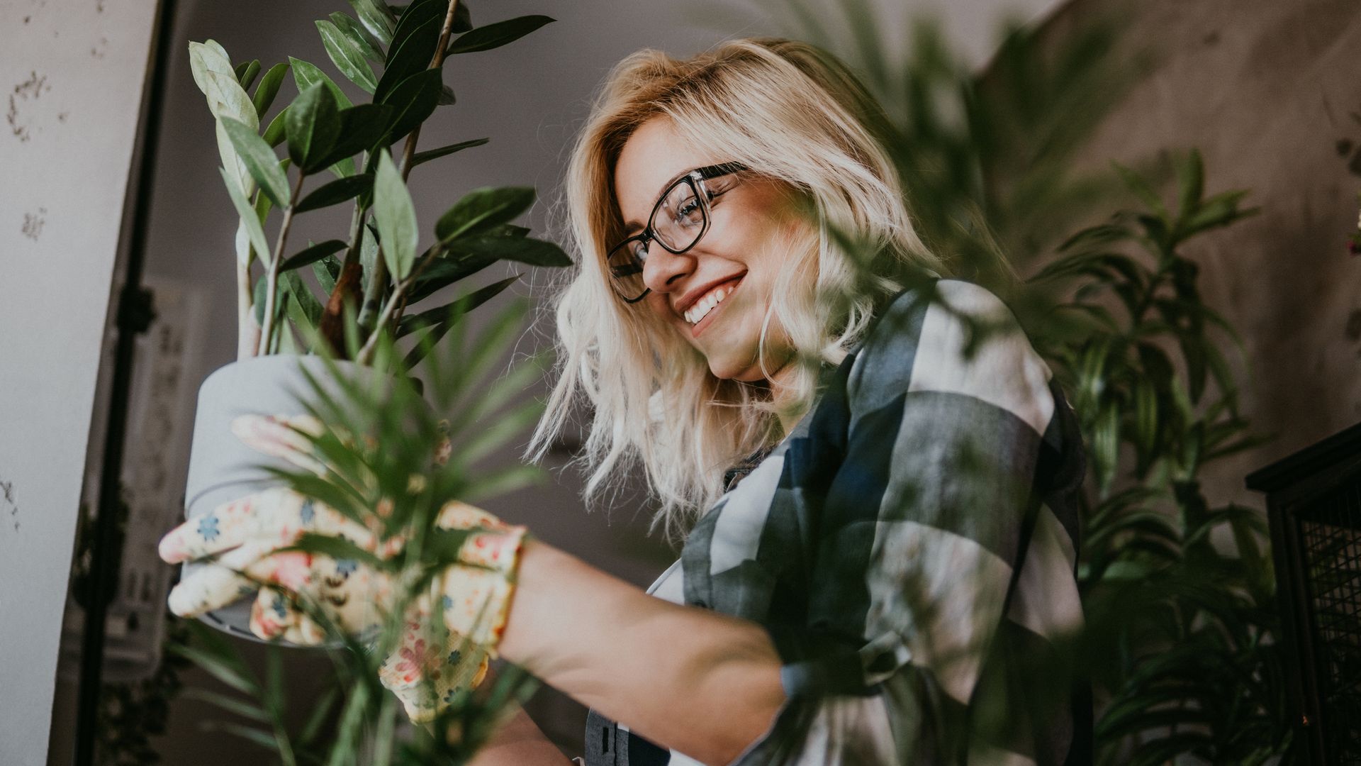8 plantas para principiantes que te harán enamorarte de la jardinería