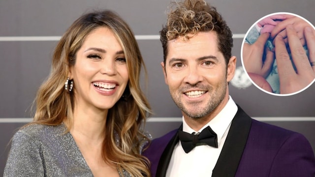 bisbal zanetti