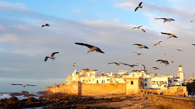 Essaouira marruecos murallas