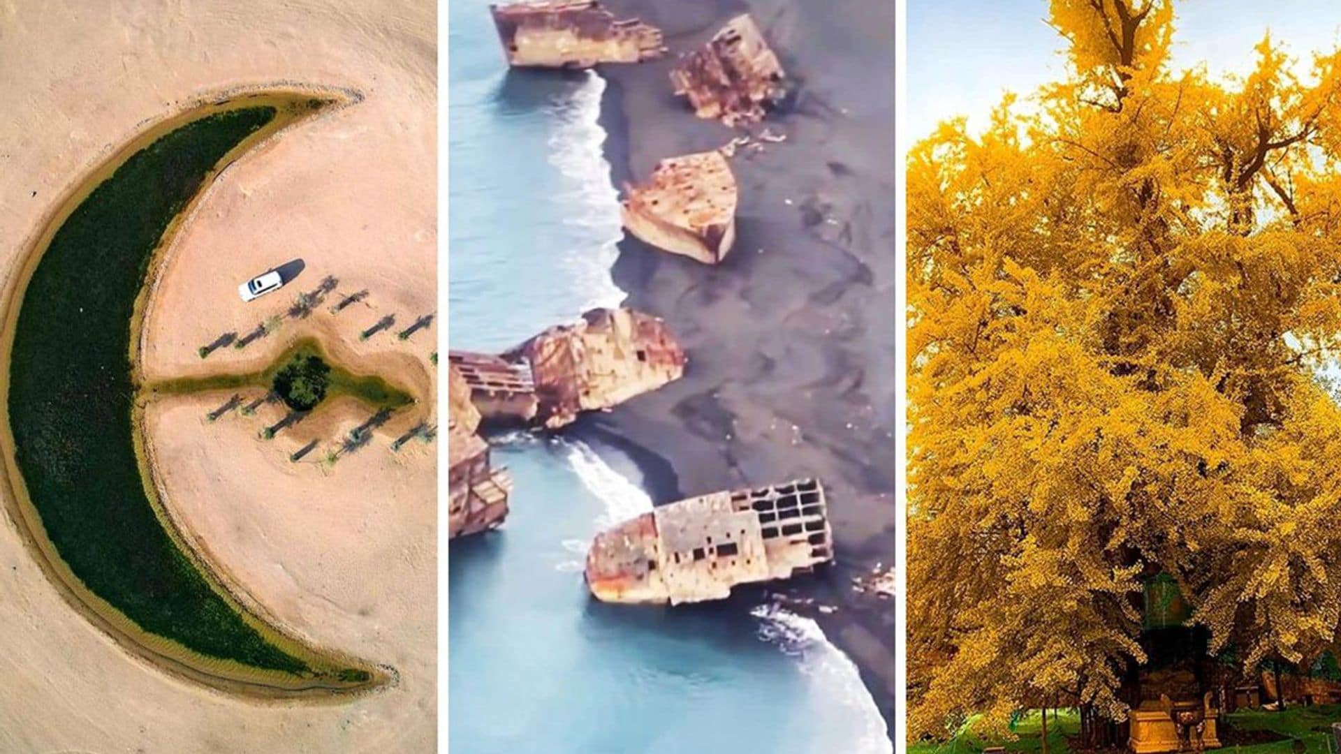 Un oasis de ensueño en pleno desierto, un ‘gingko’ inmortal y unos barcos de la Segunda Guerra Mundial que emergen del mar