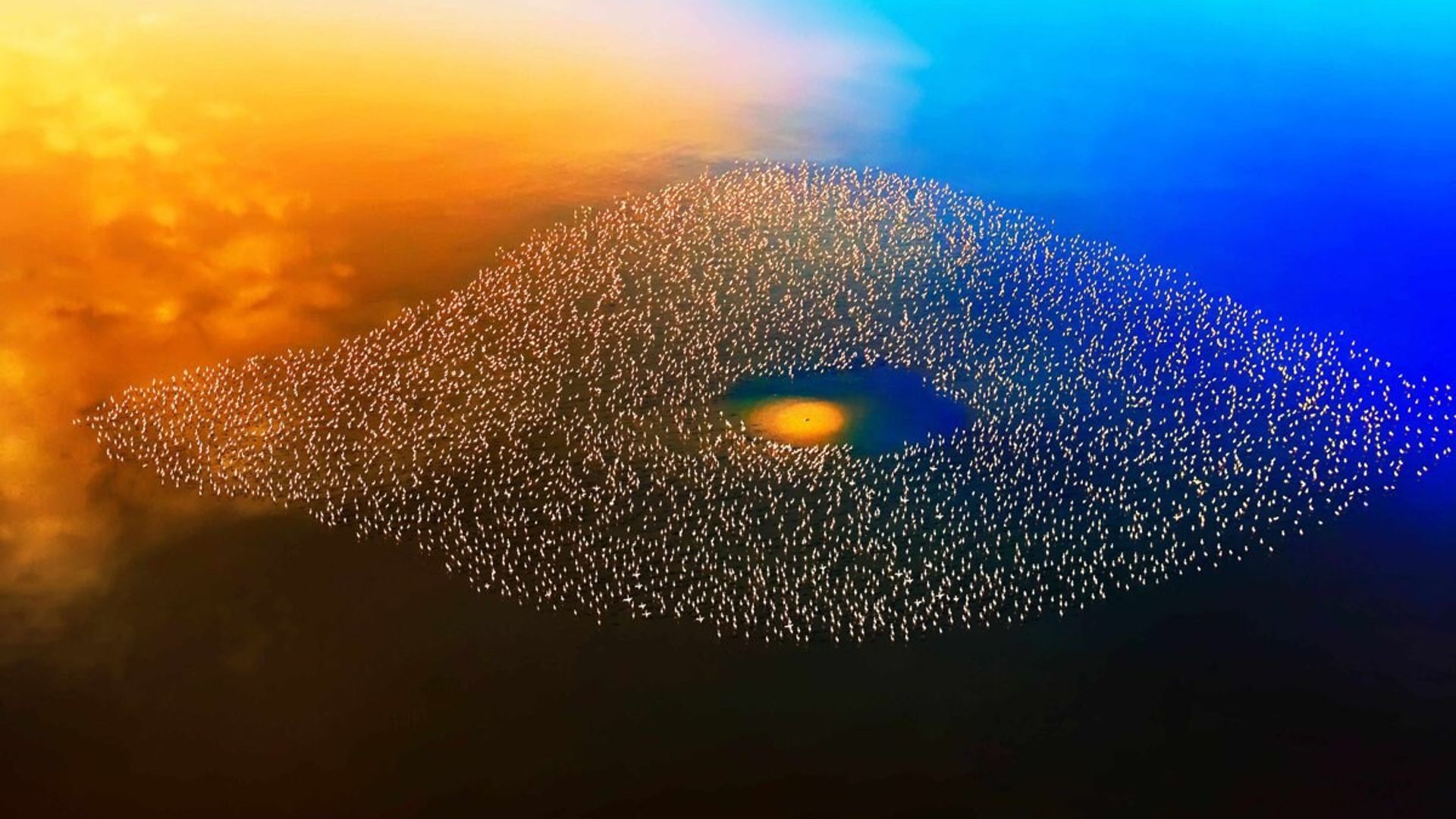 Una impresionante bandada de flamencos sobrevuela el atardecer en Kenia