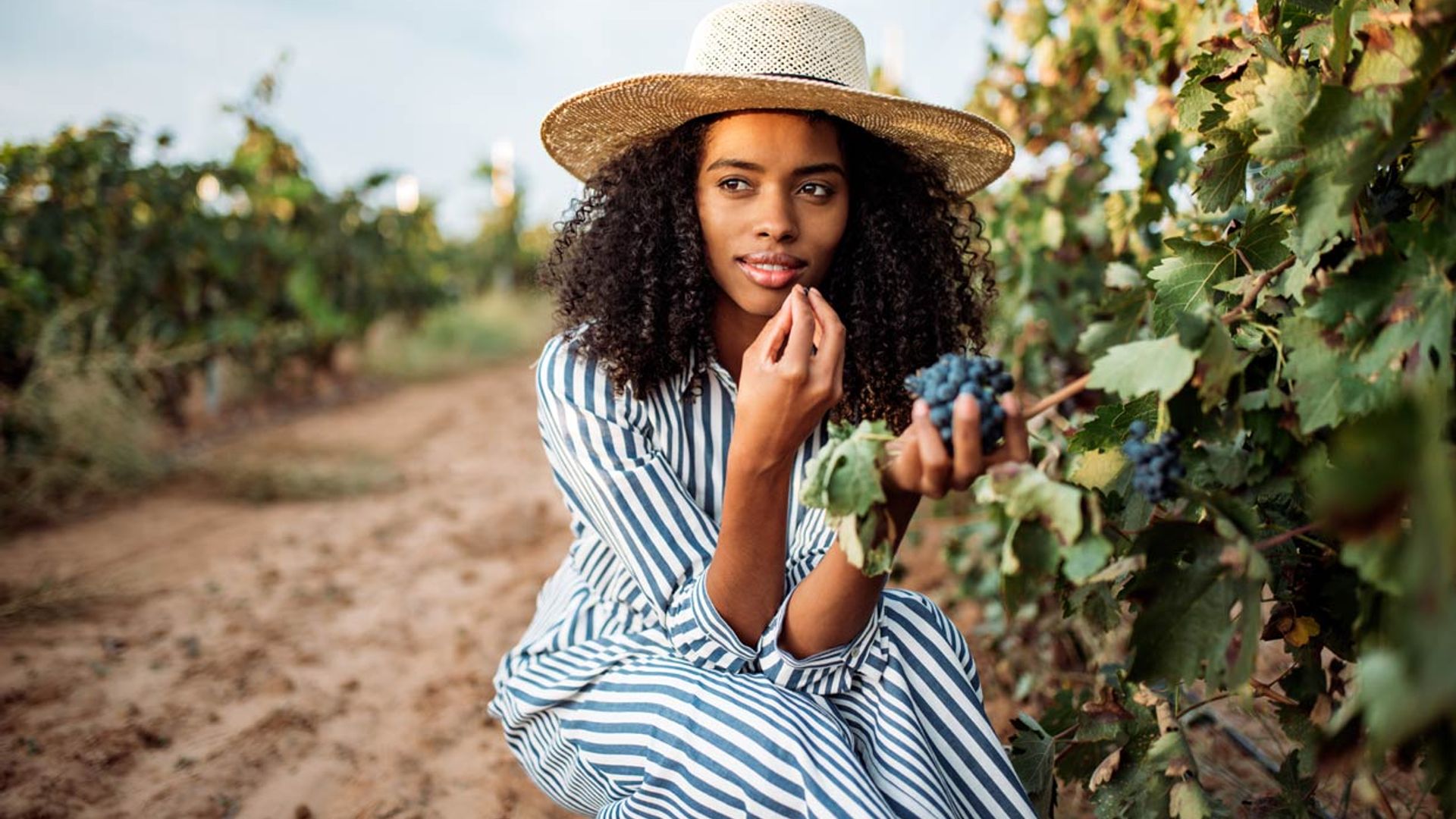 Cinco frutas de otoño muy saludables que debes incluir en tu cesta de la compra