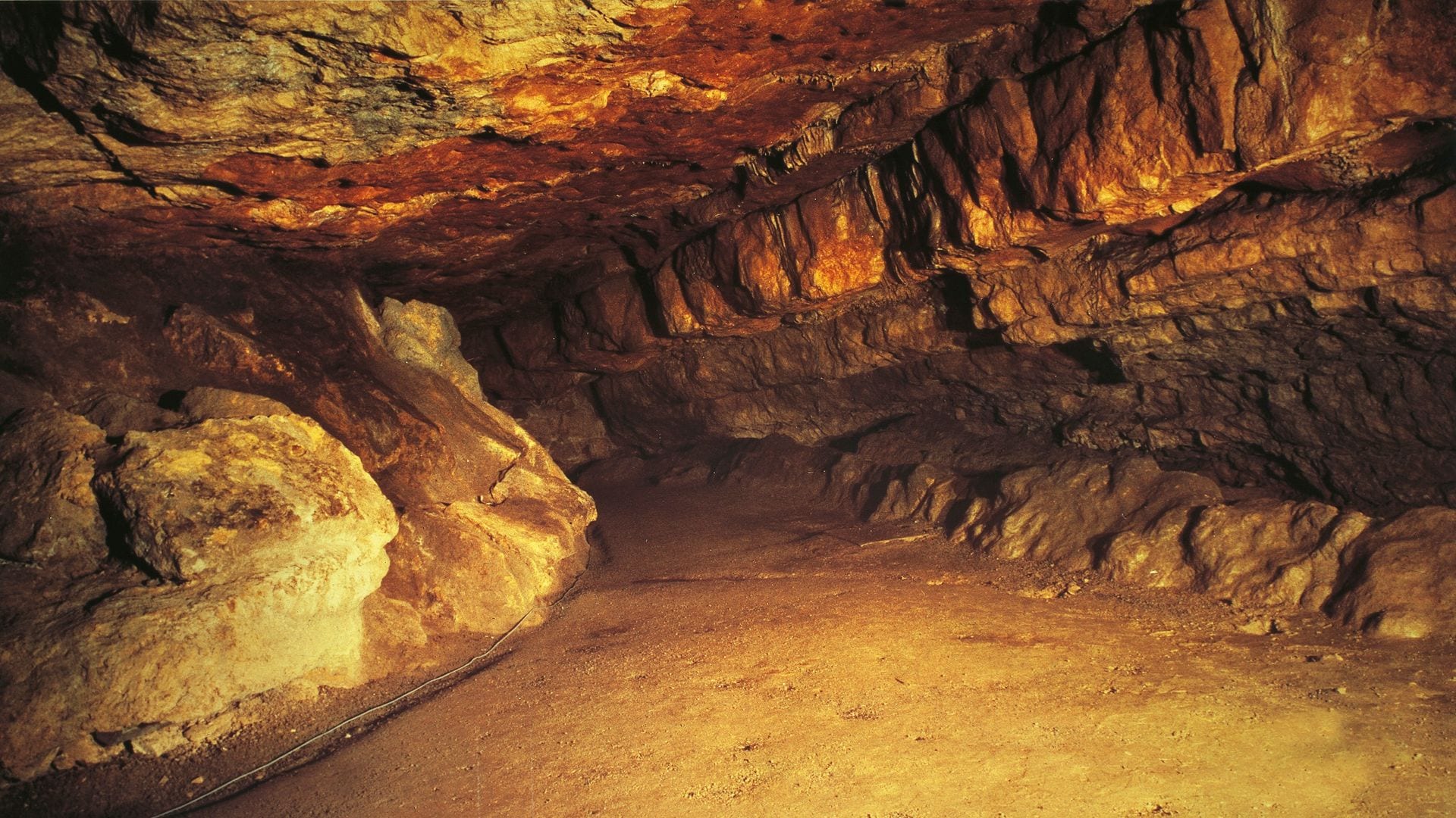 Cuevas de Altamira