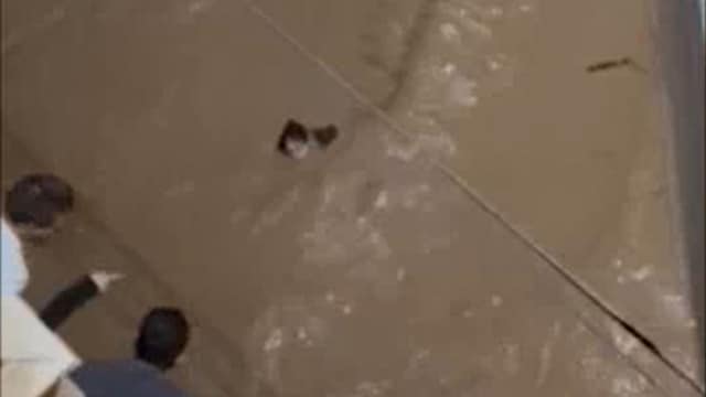 Las historia de la mujer arrastrada por la riada en Catarroja que un brazo anónimo puso a salvo 