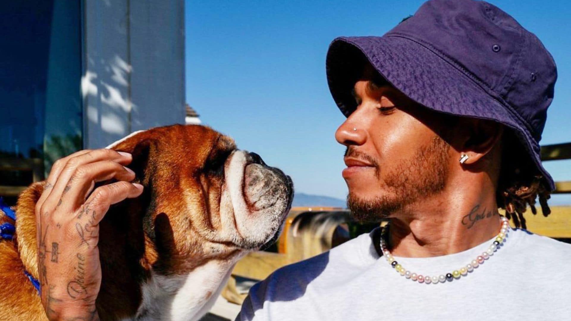 La fiesta de cumpleaños de Roscoe, el perro de Lewis Hamilton que triunfa en la pasarela y gana 700 euros al día