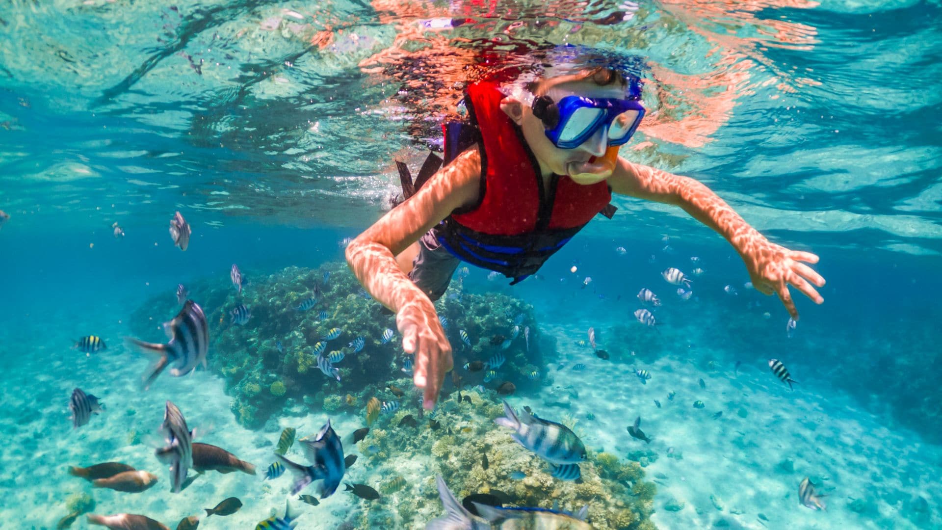 Niño hace snorkel