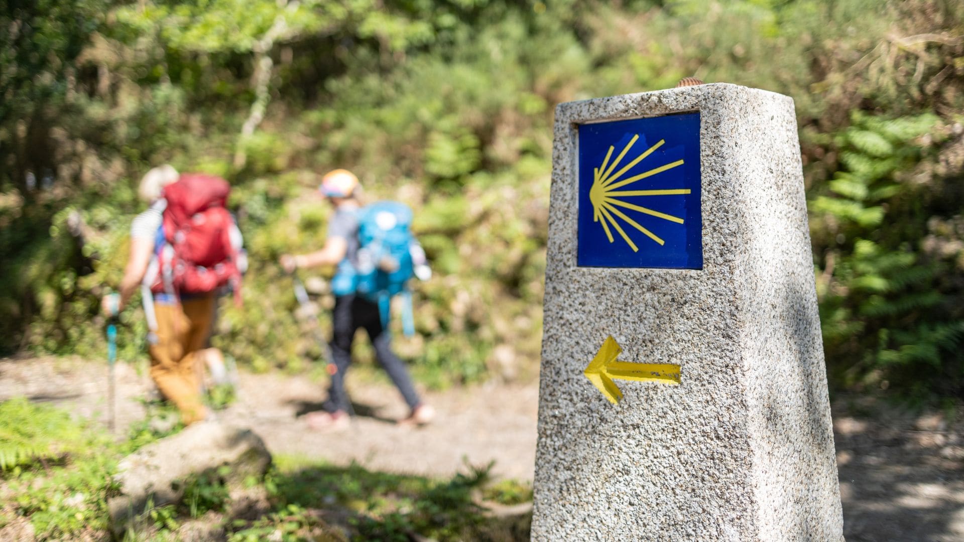 Peregrinos por el Camino de Santiago