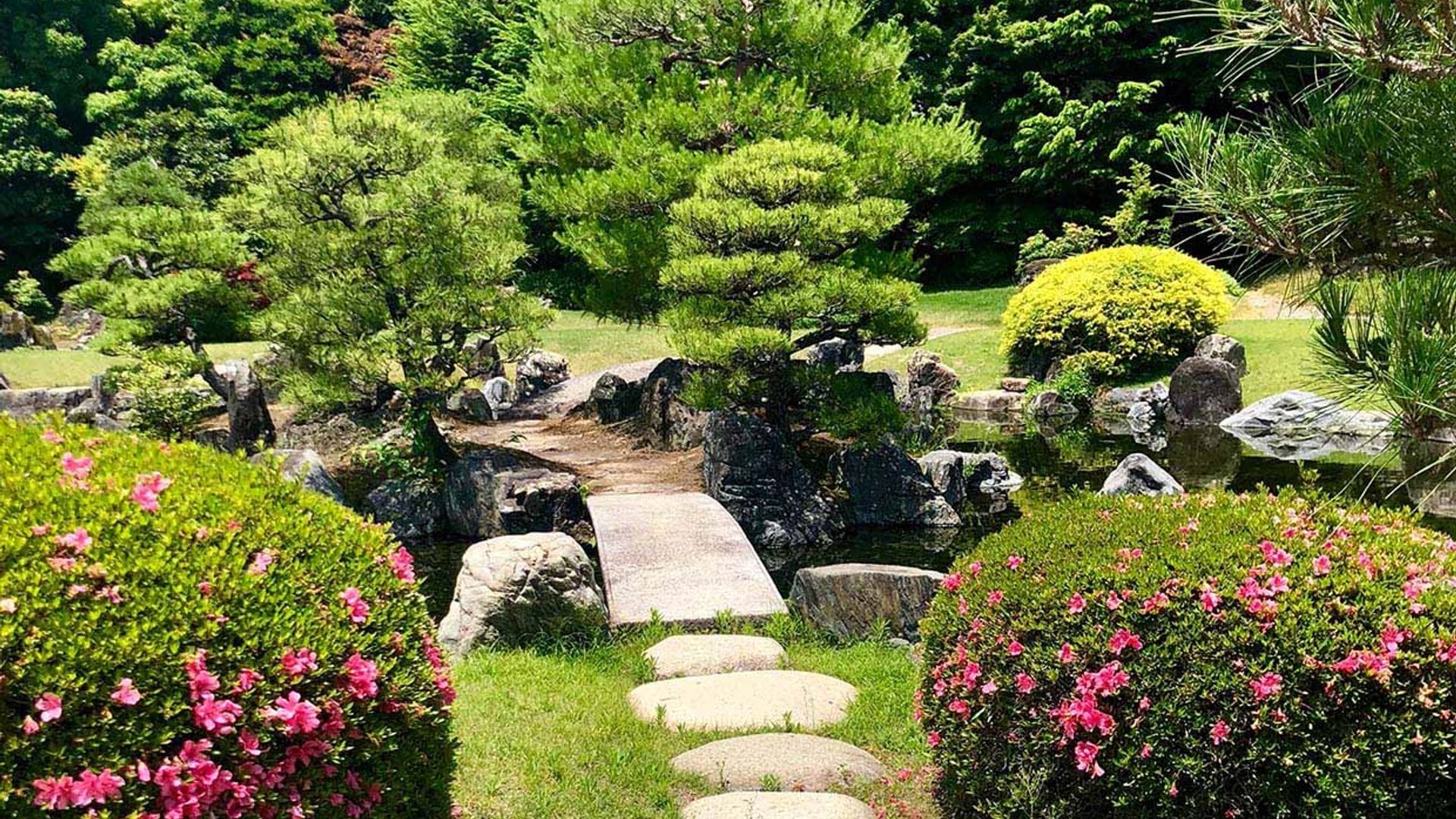 Todas las claves para plantear un jardín verde y frondoso, pero con un bajo consumo de agua