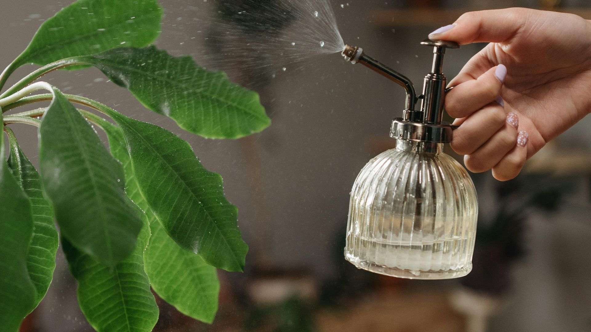 Los trucos más eficaces para eliminar los malos olores en casa sin ambientadores eléctricos