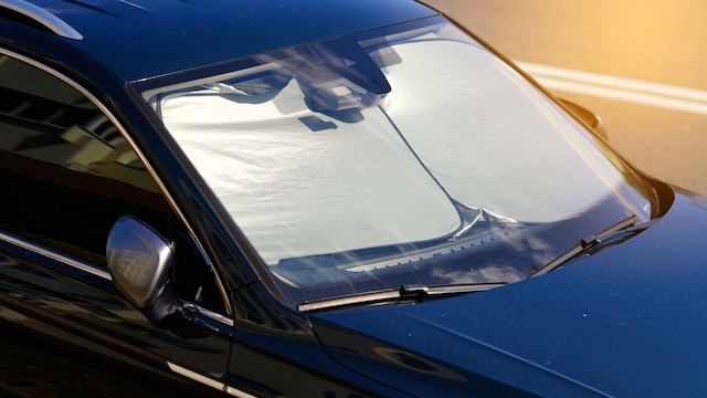 Parasol del coche