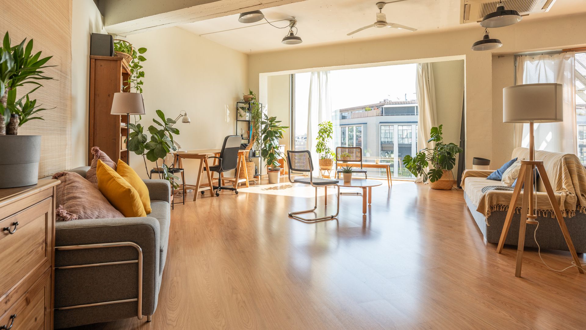 ¡Ahorra en aire acondicionado! Estas plantas de interior refrescan el ambiente