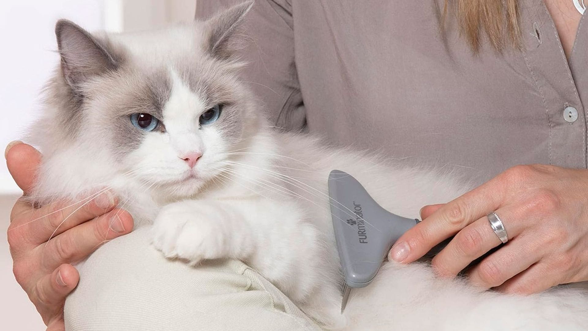Este cepillo te permite quitar el 100% del pelo muerto de tu gato sin que apenas se entere