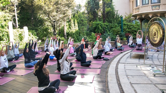 Gente practicando yoga en un jardín
