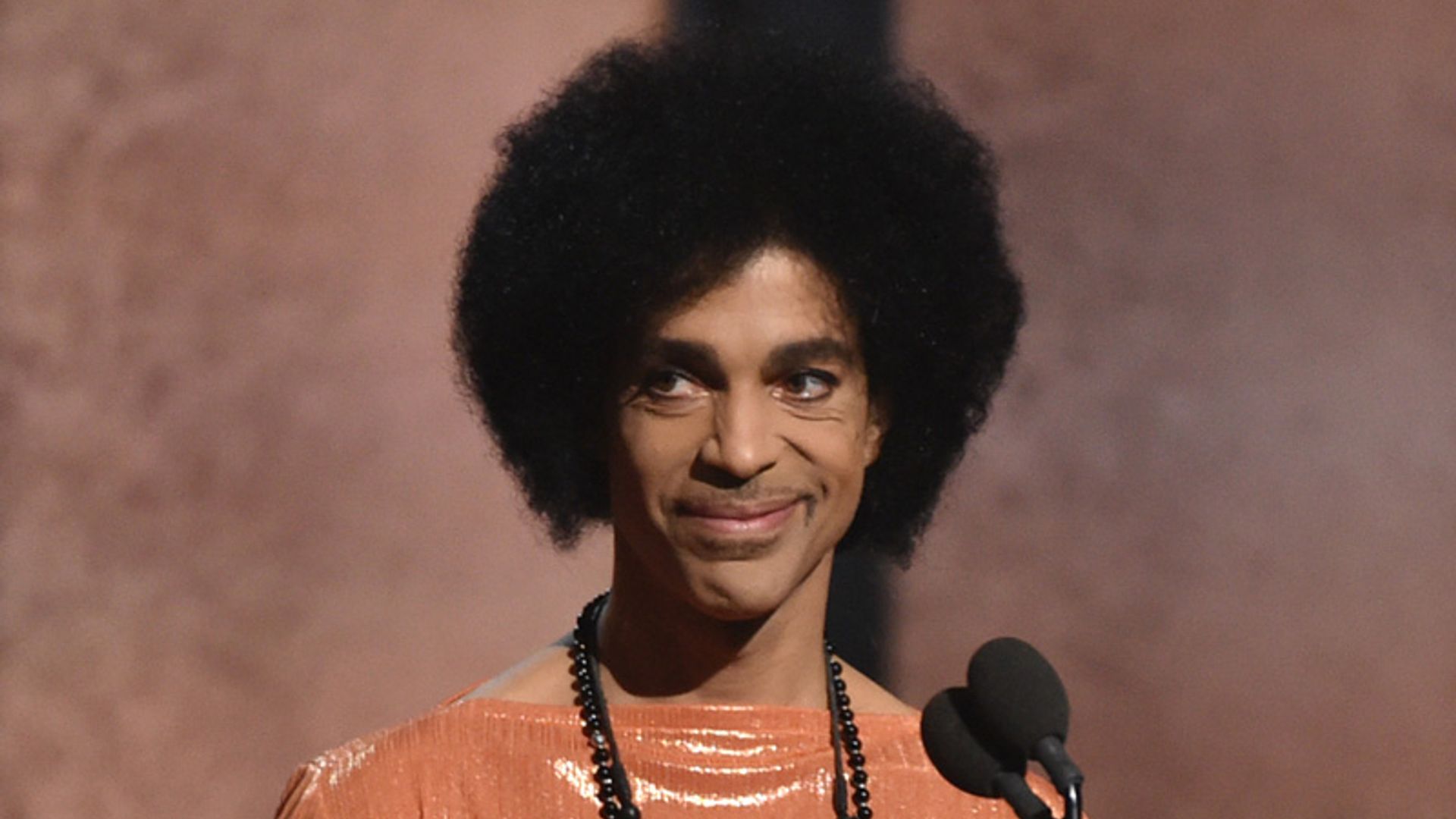 Paradisíaca y con todo tipo de lujos, así es la isla privada de Prince que ha salido a subasta