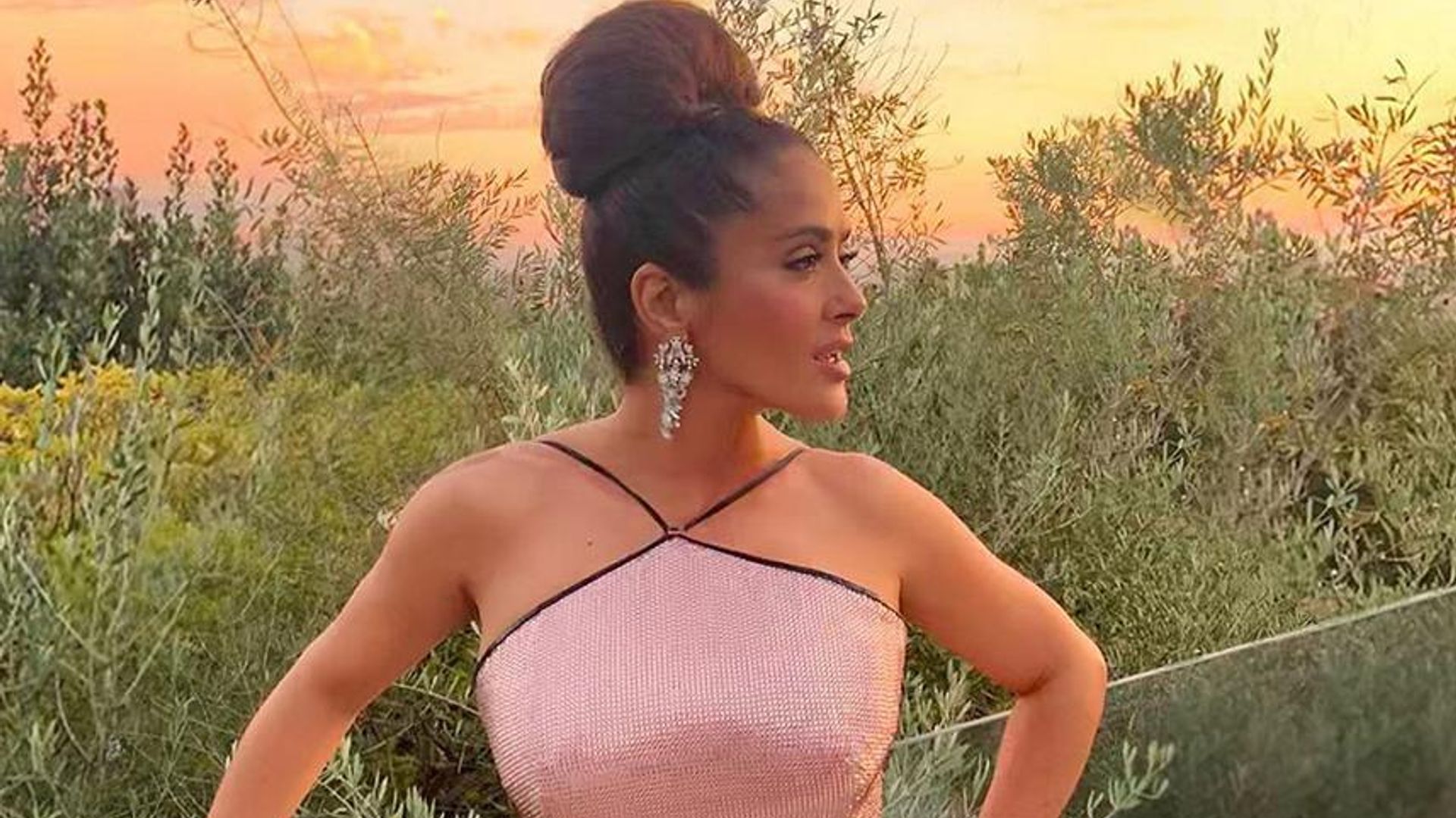 Tienes que ver a Salma Hayek intentar ahuyentar a un pato que se metió a su casa