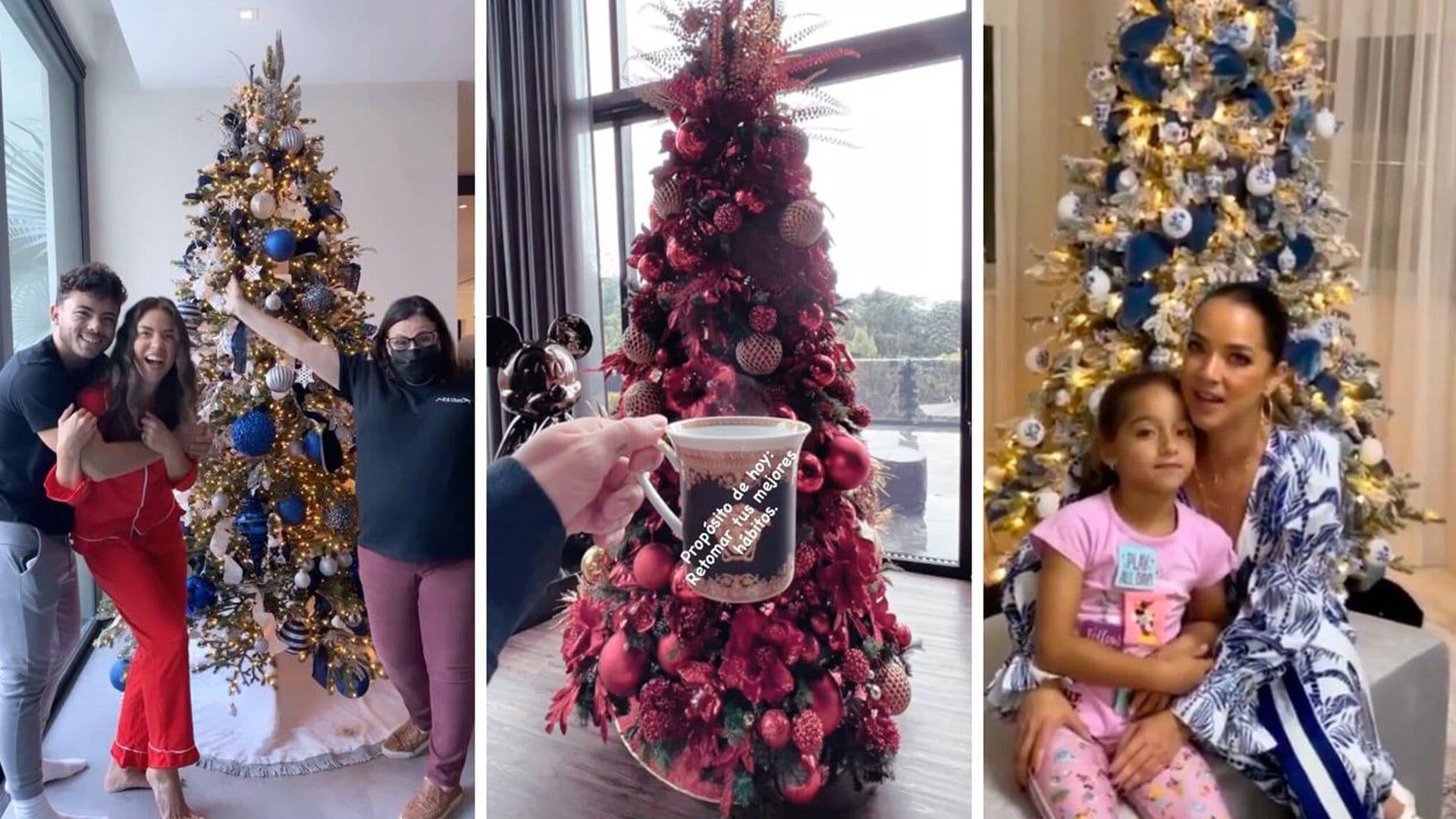 Ximena Duque, Maluma, Adamari López... ¡Las celebridades ya pusieron su árbol de Navidad!