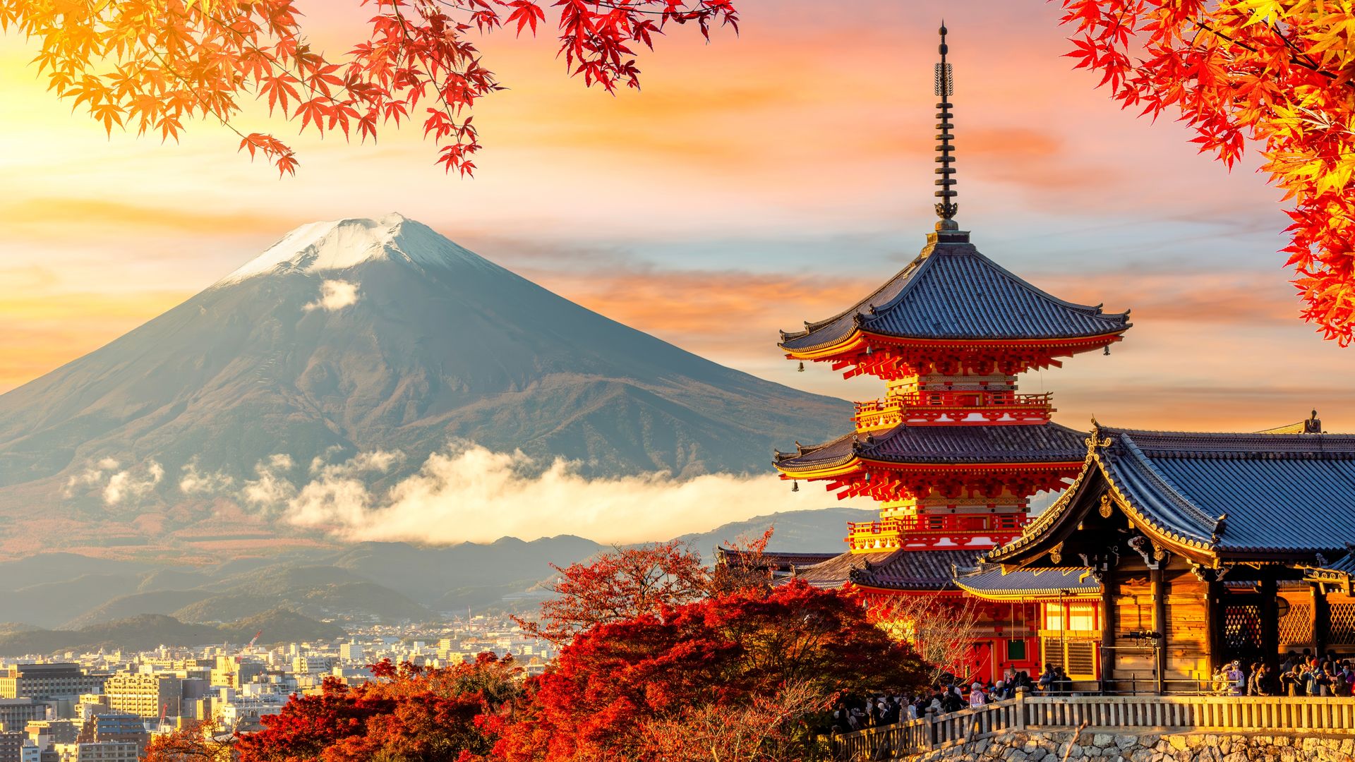 Un viaje gastronómico por Japón: descubre los sabores más auténticos como un verdadero local