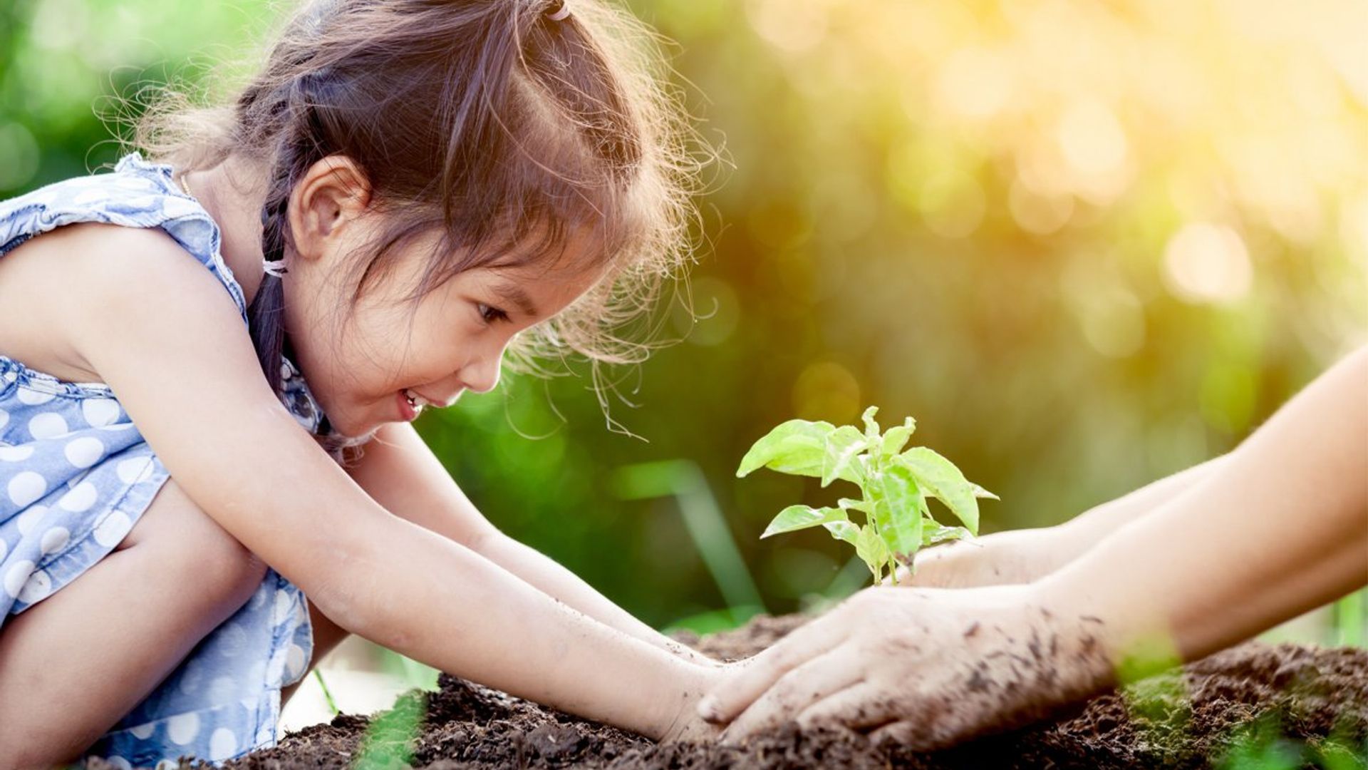 Beneficios de incluir la naturaleza en los colegios