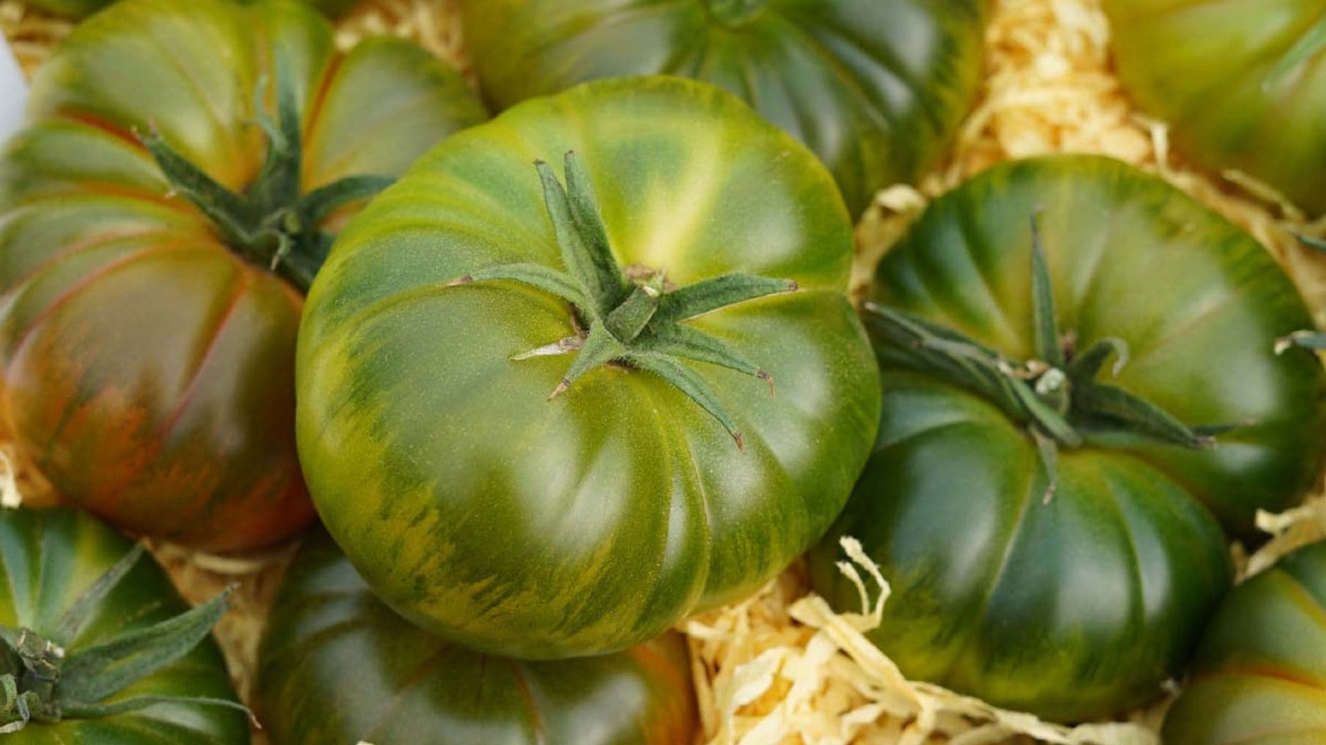Así es el raf, un tomate de sabor incomparable